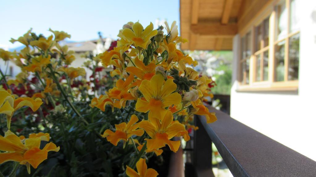 Chalet Casa Al Poz Tassullo Buitenkant foto